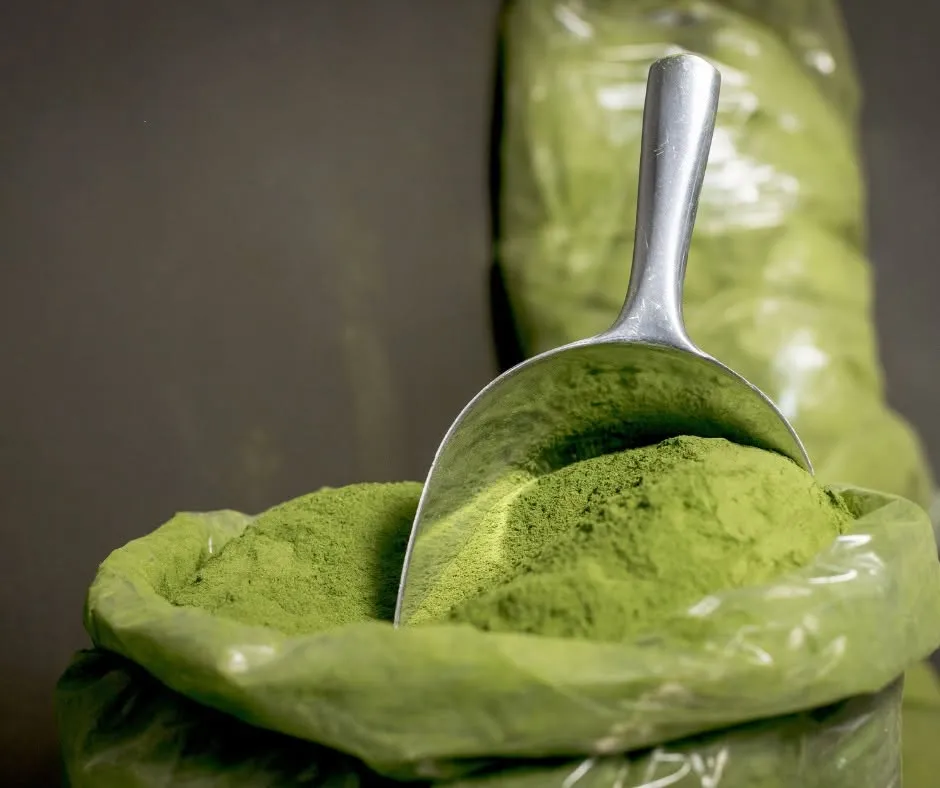 Mamali Moringa (1)